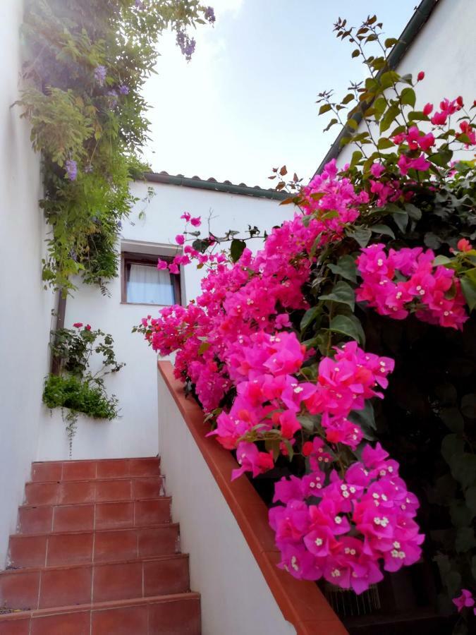 Casa Gandamar B&B Santa Teresa Gallura Exterior foto
